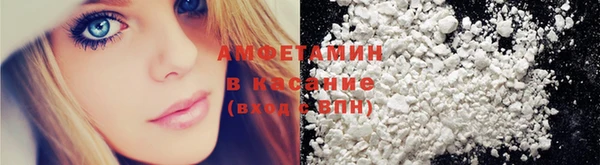 индика Волосово