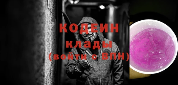 индика Волосово