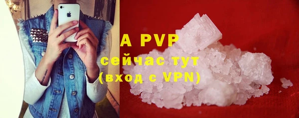 индика Волосово