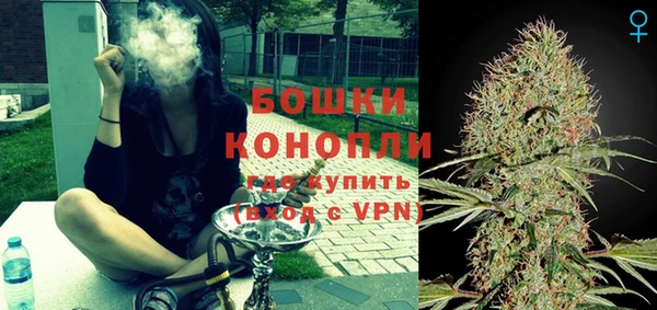 индика Волосово