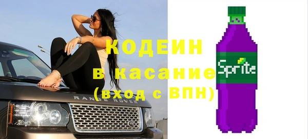 индика Волосово