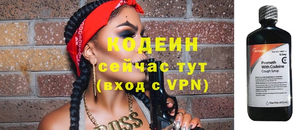 индика Волосово