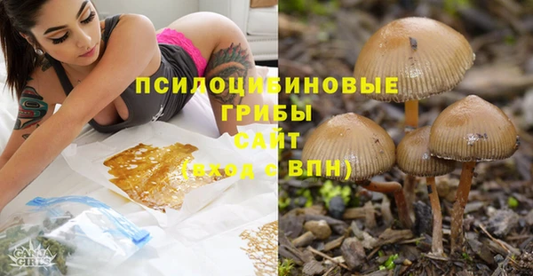 прущая мука Осинники