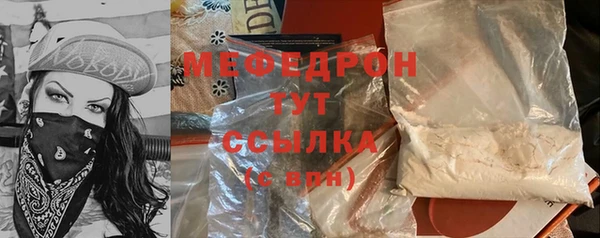 индика Волосово