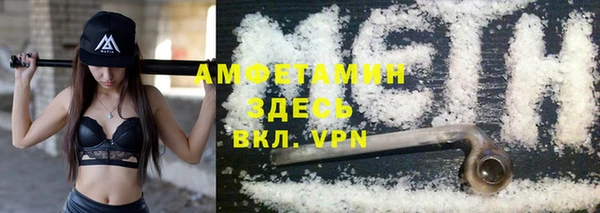 индика Волосово