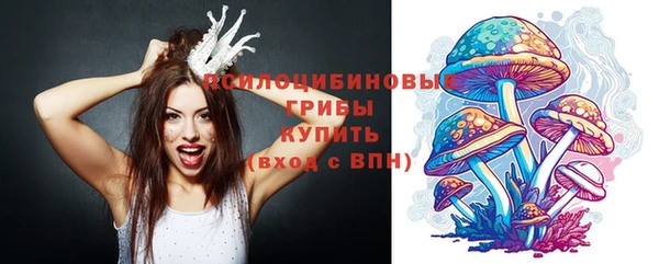 индика Волосово