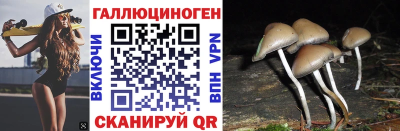 Купить где  Корсаков  Галлюциногенные грибы ЛСД 